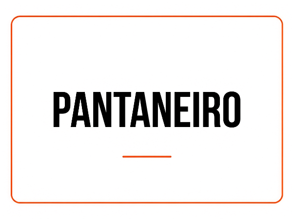 PANTANEIRO