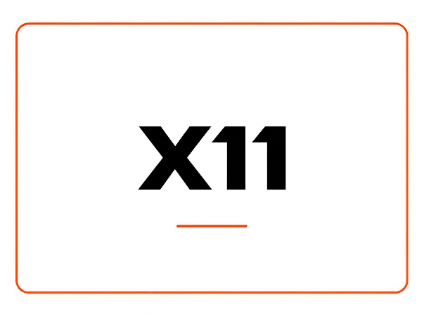 X11