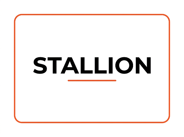 STallion